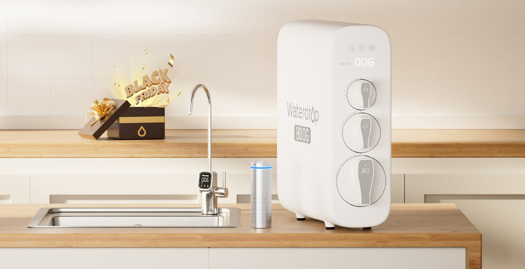 G3P800 Reverse Osmosis System