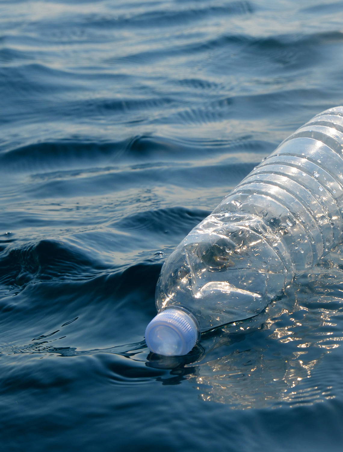 Every second, 16,667 plastic bottles are tossed. We’ve replaced 998.96M+, helping the planet.