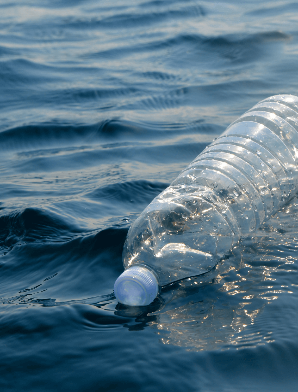 Every second, 16,667 plastic bottles are tossed. We’ve replaced 998.96M+, helping the planet.